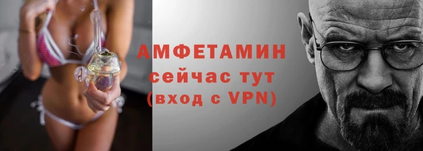 мет Алексин