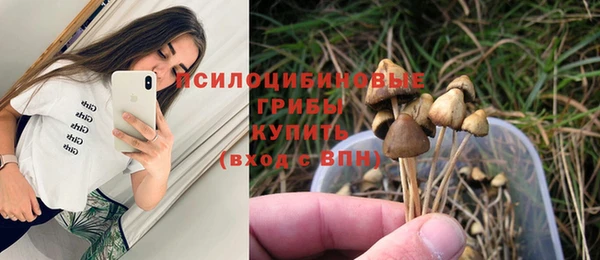 mdma Осинники